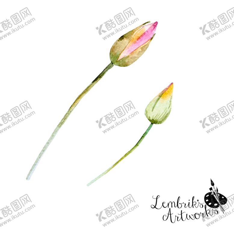编号：58860306242044084877【酷图网】源文件下载-手绘花卉