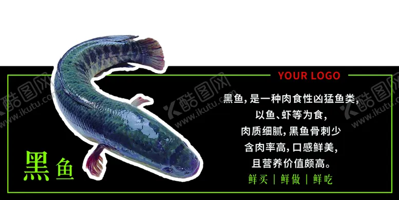 编号：54426510301253163272【酷图网】源文件下载-黑鱼摆台