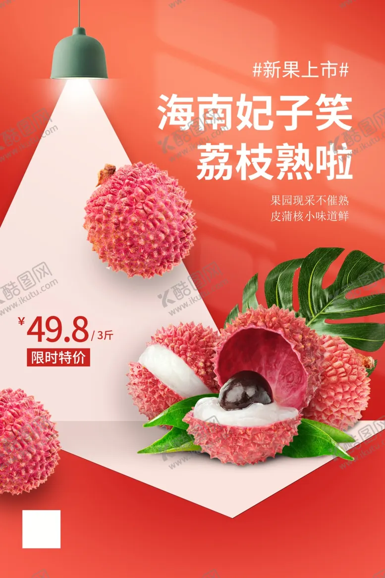 编号：64318705241252327026【酷图网】源文件下载-荔枝海报