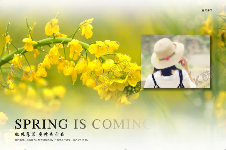 编号：60133010160048449822【酷图网】源文件下载-油菜花广告