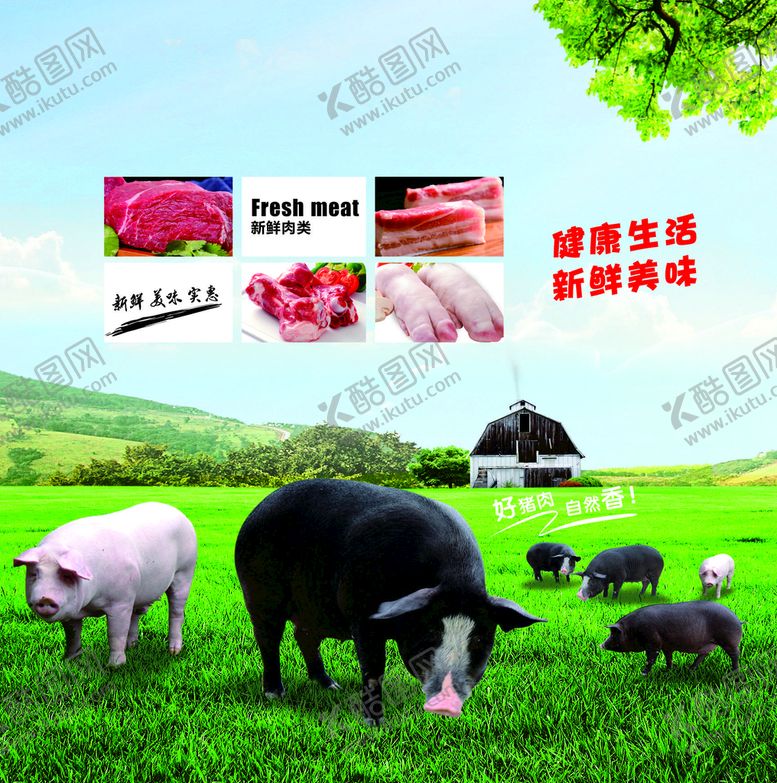 编号：88452601140950433007【酷图网】源文件下载-猪肉