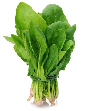 菠菜