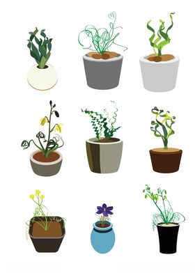 盆栽植物弹簧草装饰小清新图案