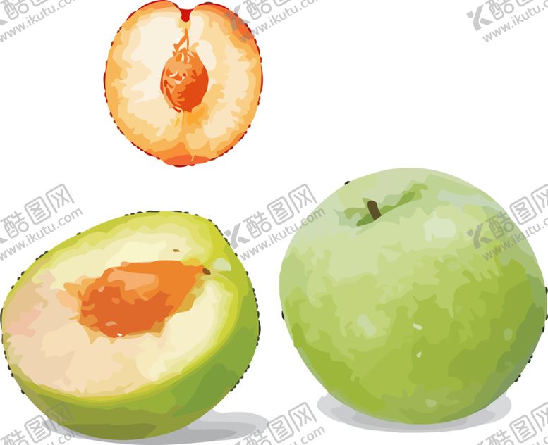 编号：16342009250509446721【酷图网】源文件下载-水果
