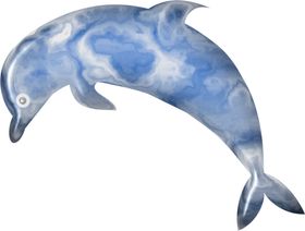 海豚