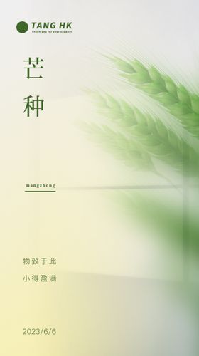 芒种海报光影二十四节气暖阳