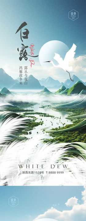 白露节气露珠系列海报