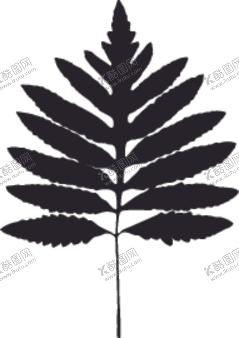 编号：42573407090809199943【酷图网】源文件下载-植物系列树叶