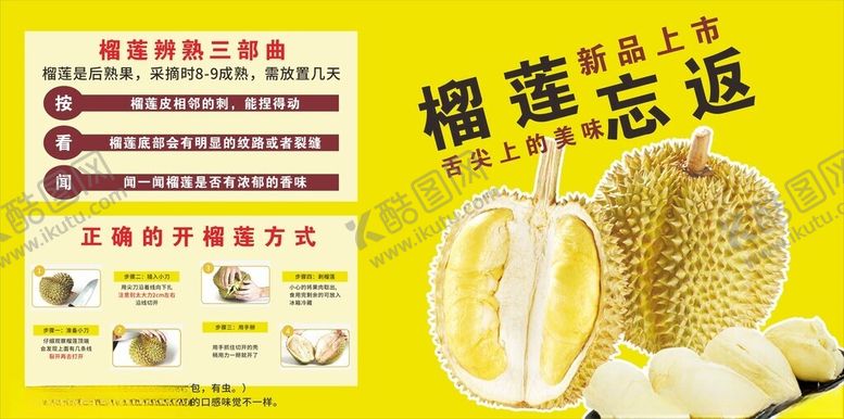 编号：84336602102234448135【酷图网】源文件下载-榴莲