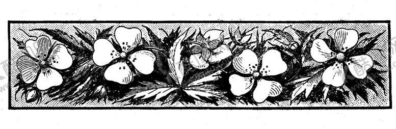 编号：39064009250247312240【酷图网】源文件下载-花纹边框