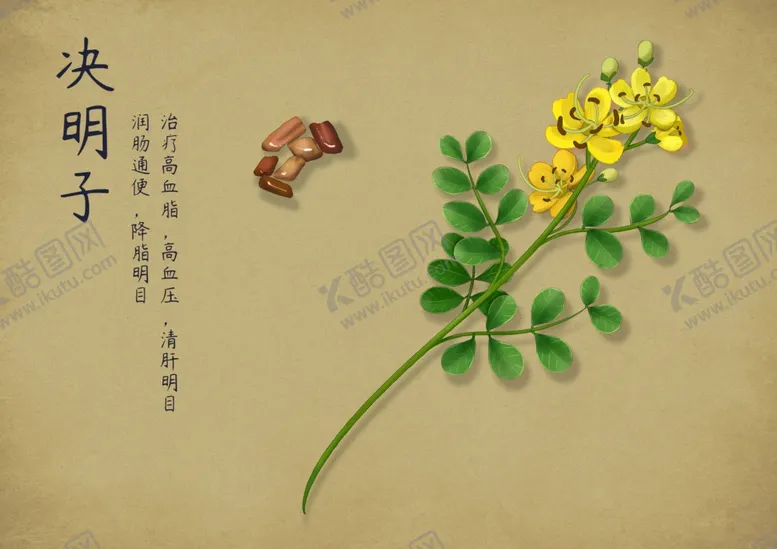 编号：60207702260316513254【酷图网】源文件下载-药材图谱