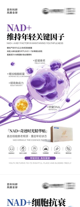 NAD 细胞抗衰
