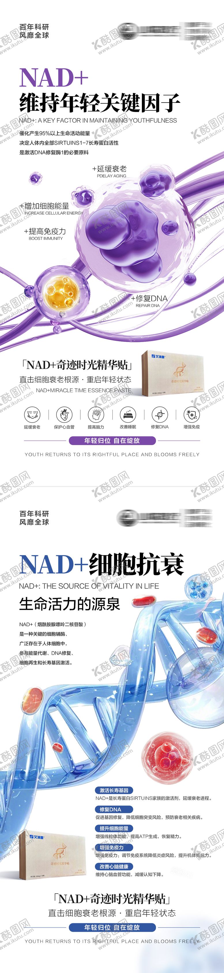 编号：83875501301645304452【酷图网】源文件下载-NAD 细胞抗衰