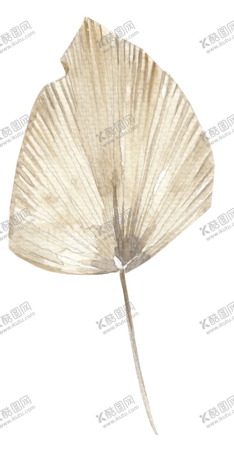 编号：71979306142138049128【酷图网】源文件下载-北欧小清新水彩植物图案