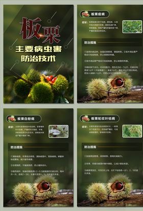 板栗主要病虫害防治技术海报