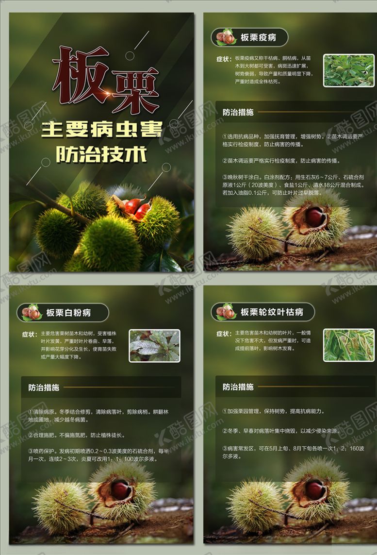 编号：92451005090609103454【酷图网】源文件下载-板栗主要病虫害防治技术海报