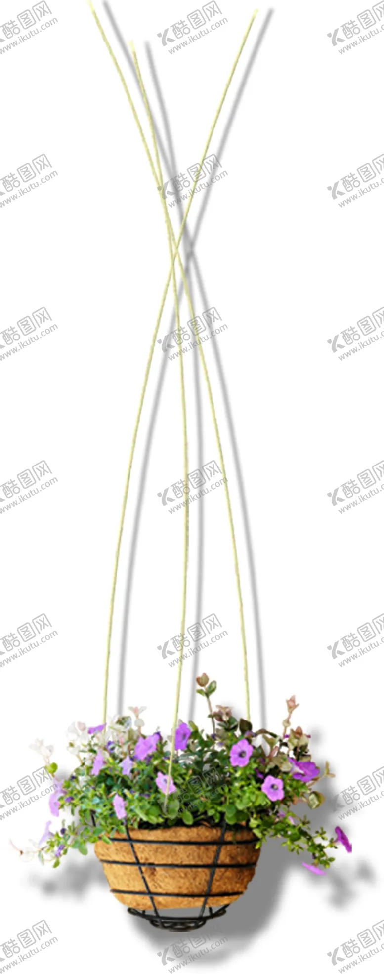 编号：54243205160151228698【酷图网】源文件下载-盆栽花盆植物摆件装饰