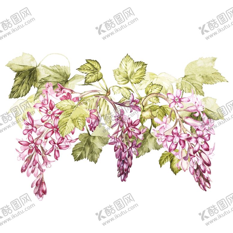 编号：42966009150724102515【酷图网】源文件下载-多肉植物花朵绘画素材