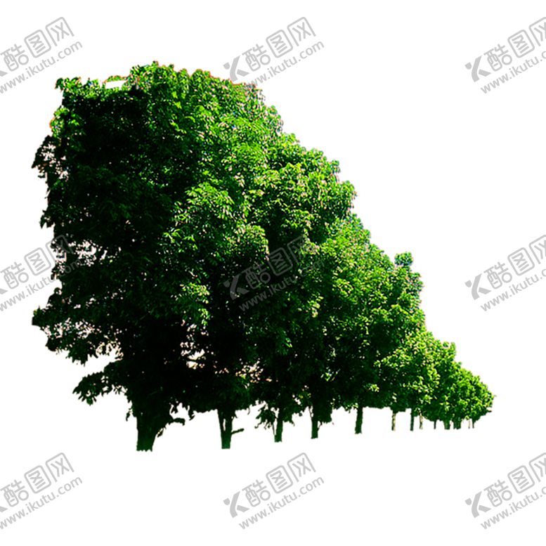 编号：38202010022041412469【酷图网】源文件下载-绿色植物