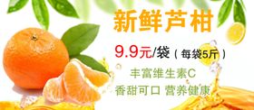 芦柑橘子