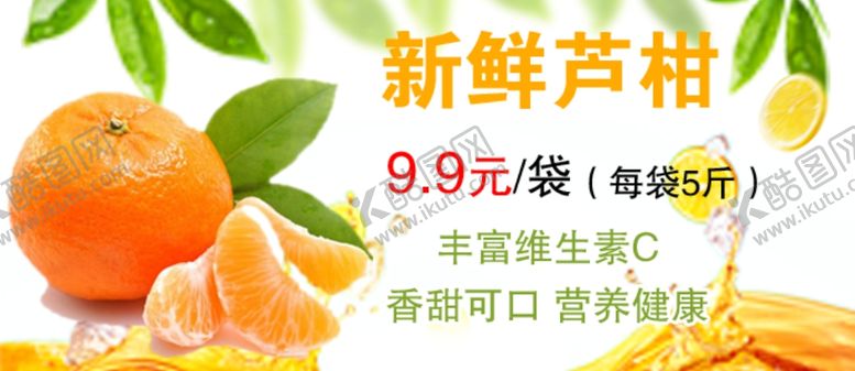 编号：39155107072102369207【酷图网】源文件下载-芦柑树叶橘子橙子