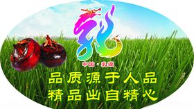 马蹄盒贴纸
