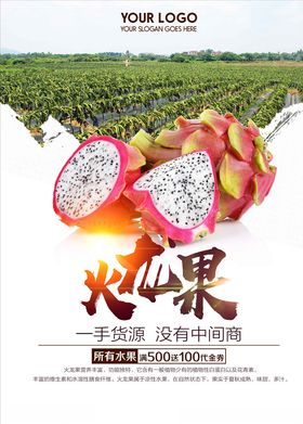 火龙果图片