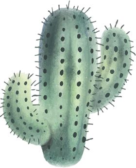 仙人掌植物