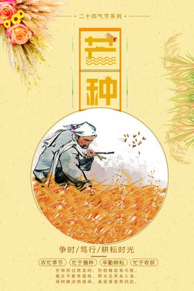 芒种海报