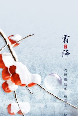 雪景霜降节气传统节日房地产