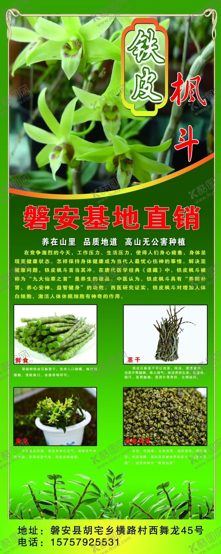 编号：72561809131701130176【酷图网】源文件下载-铁皮枫斗易拉宝