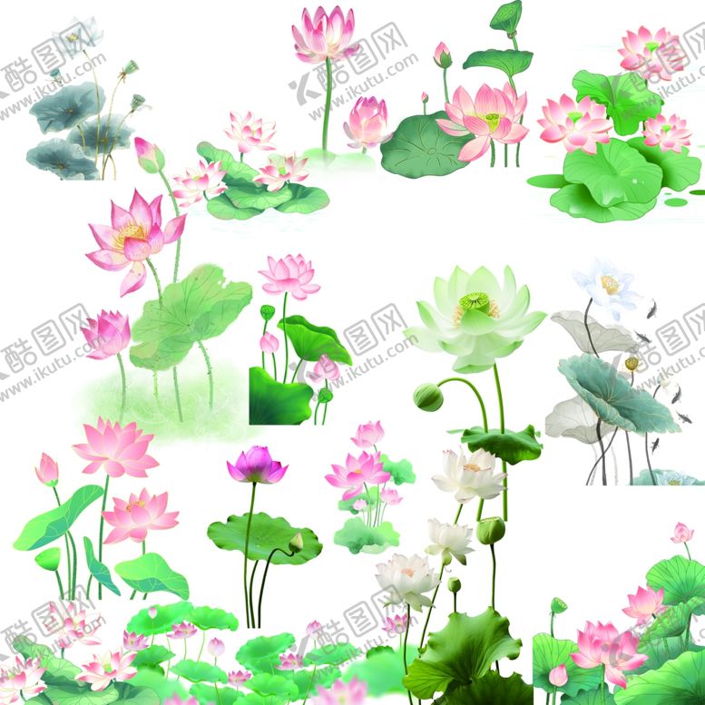 编号：40883011020725213092【酷图网】源文件下载-水墨荷花图