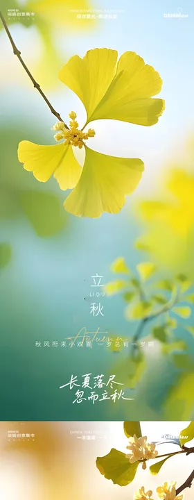 地产立秋银杏叶简约质感海报