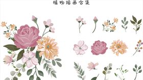花朵合集