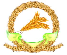 麦穗