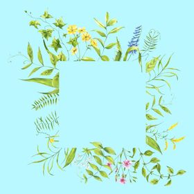 植物边框