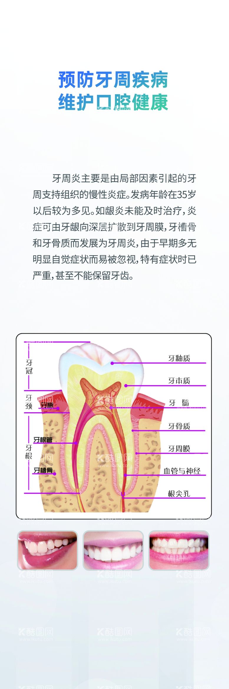 编号：15722811291619464060【酷图网】源文件下载-牙周病挂画