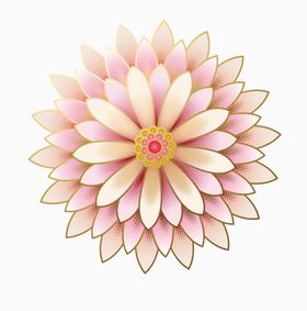 牡丹花卉