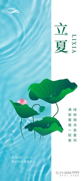 立夏荷叶节气海报