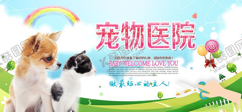 编号：70954710202039223932【酷图网】源文件下载-宠物医院海报展板