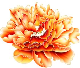 牡丹花底纹摄影素材金色
