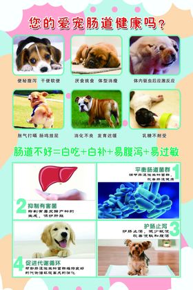 宠物医院海报益生菌