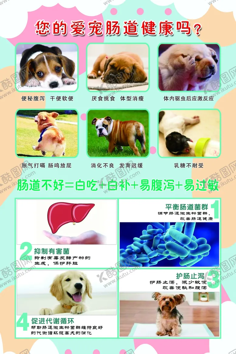 编号：76879806281123001804【酷图网】源文件下载-宠物医院海报益生菌
