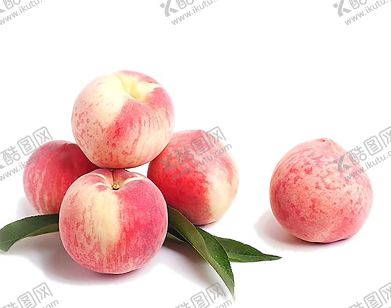 编号：78101910142358135232【酷图网】源文件下载-桃子