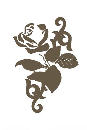 花卉组合