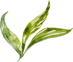 彩绘花卉