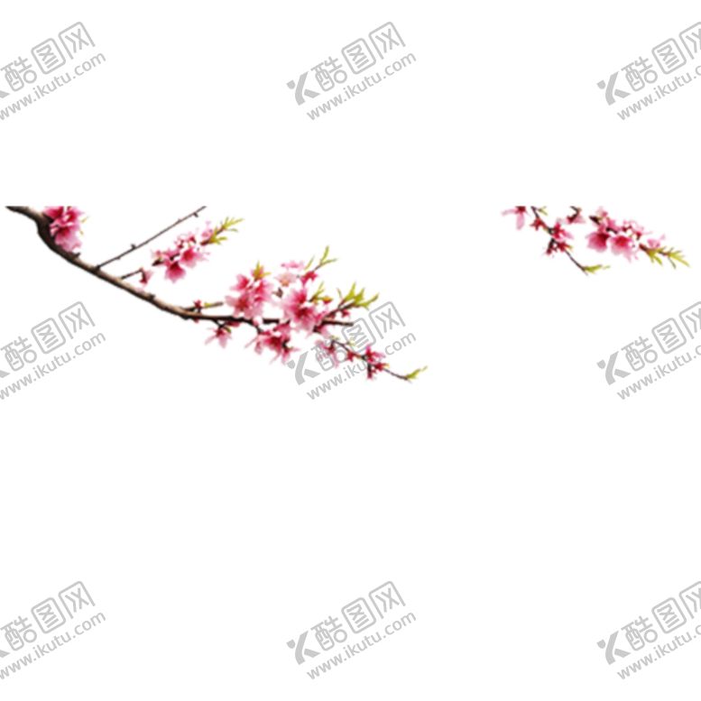 编号：92720205030808361326【酷图网】源文件下载-桃花