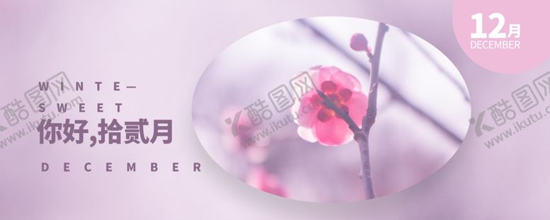 编号：78617205082036313312【酷图网】源文件下载-你好12月