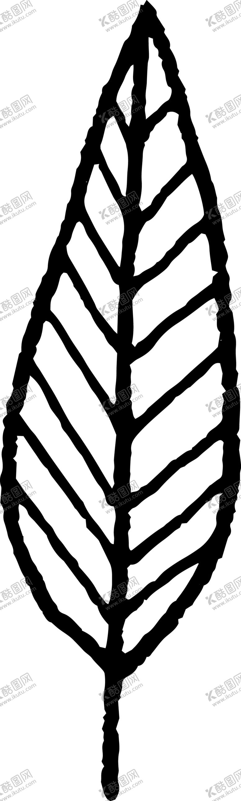 编号：22546009140250564584【酷图网】源文件下载-创意手绘羽毛