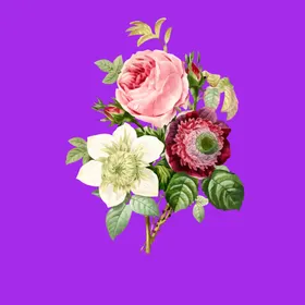手绘花卉花朵